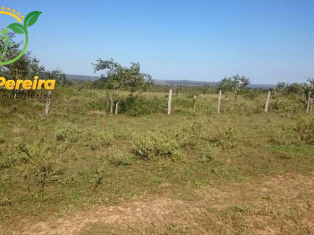 #780 - Fazenda para Venda em Itiquira - MT - 3