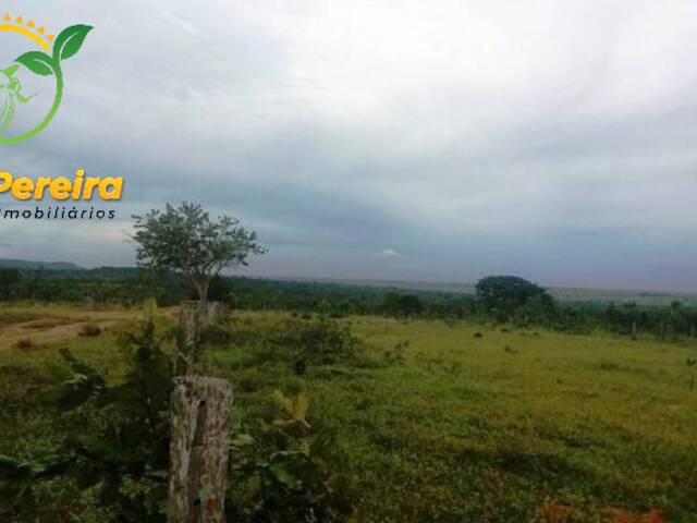 #780 - Fazenda para Venda em Itiquira - MT - 1