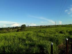 Fazenda para Venda em Tucuruí - 4