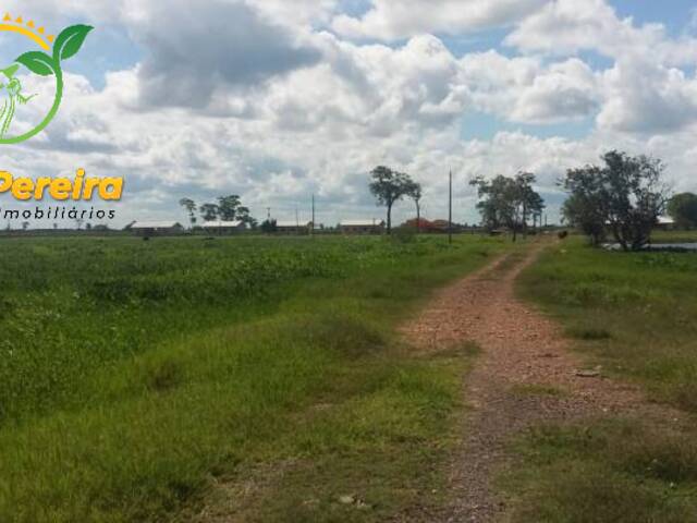 Fazenda para Venda em Porto Murtinho - 4