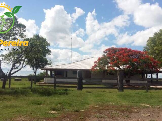 #906 - Fazenda para Venda em Porto Murtinho - MS - 1