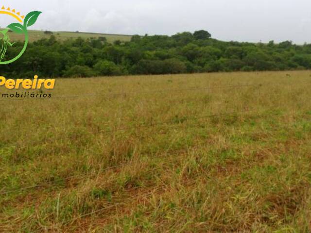Fazenda para Venda em Ribas do Rio Pardo - 5