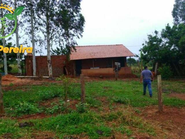 Fazenda para Venda em Ribas do Rio Pardo - 4