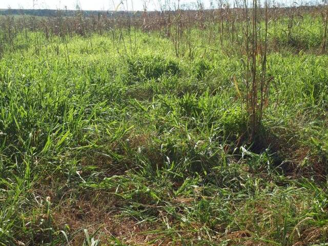 #1012 - Fazenda para Venda em Itiquira - MT - 3