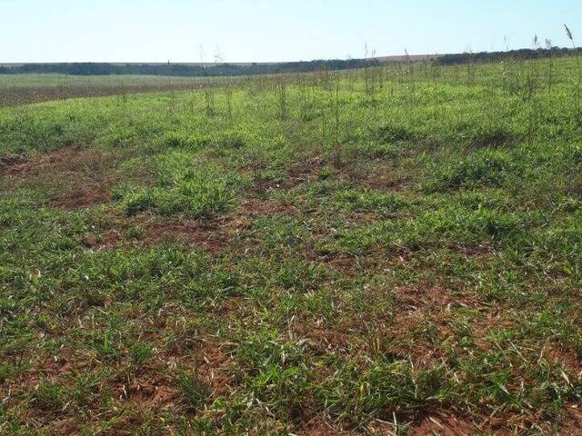 #1012 - Fazenda para Venda em Itiquira - MT - 1