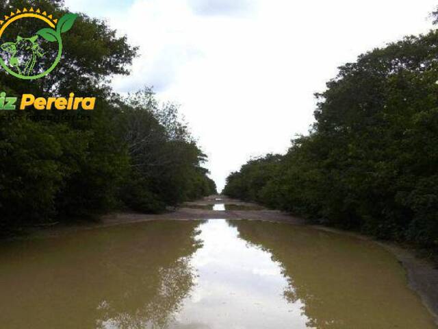 #7 - Fazenda para Venda em Canto do Buriti - PI - 1