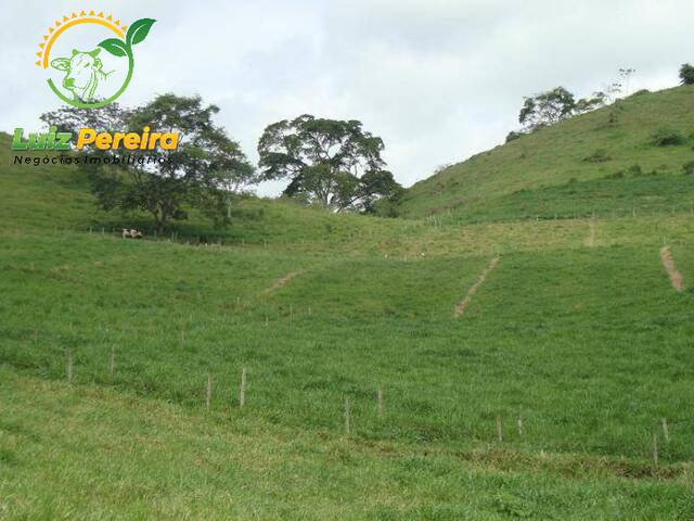 #55 - Fazenda para Venda em Gurupi - TO - 1