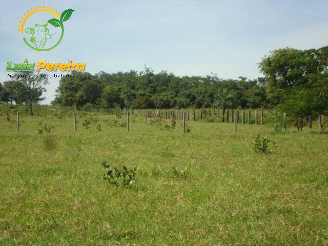 #1031 - Fazenda para Venda em Terenos - MS - 1