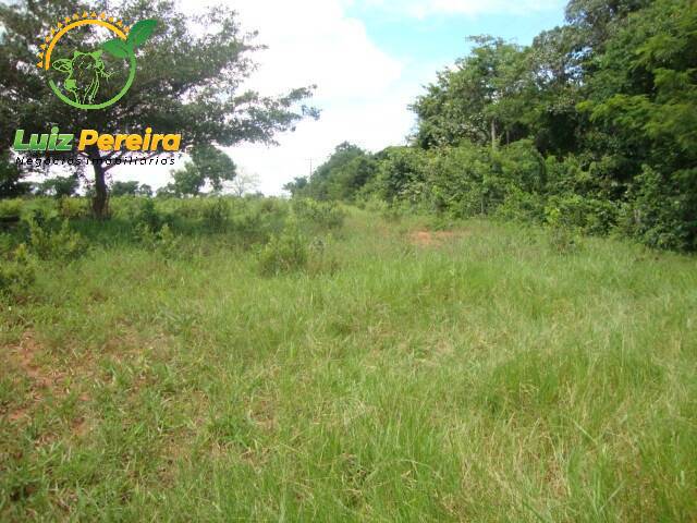 #1031 - Fazenda para Venda em Terenos - MS - 2