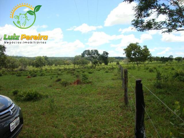 Fazenda para Venda em Terenos - 4