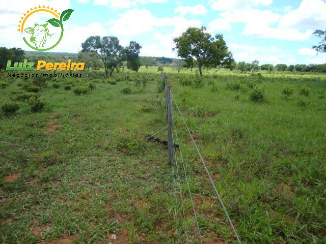 Fazenda para Venda em Terenos - 5
