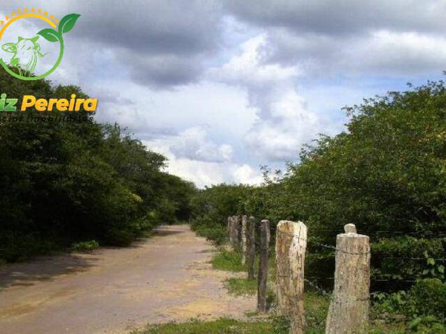 Fazenda para Venda em Canto do Buriti - 4
