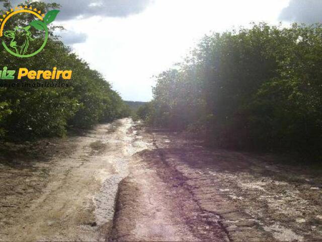Fazenda para Venda em Canto do Buriti - 5