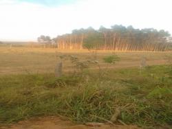 Fazenda para Venda em Corguinho - 2