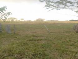 Fazenda para Venda em Corguinho - 3