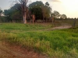 Fazenda para Venda em Corguinho - 4