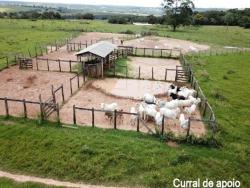 Fazenda para Venda em Corguinho - 4