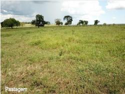 Fazenda para Venda em Corguinho - 5