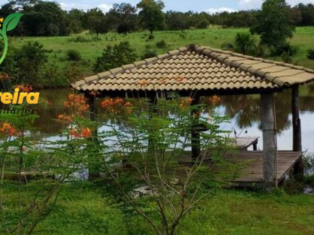 #1119 - Fazenda para Venda em Talismã - TO - 1