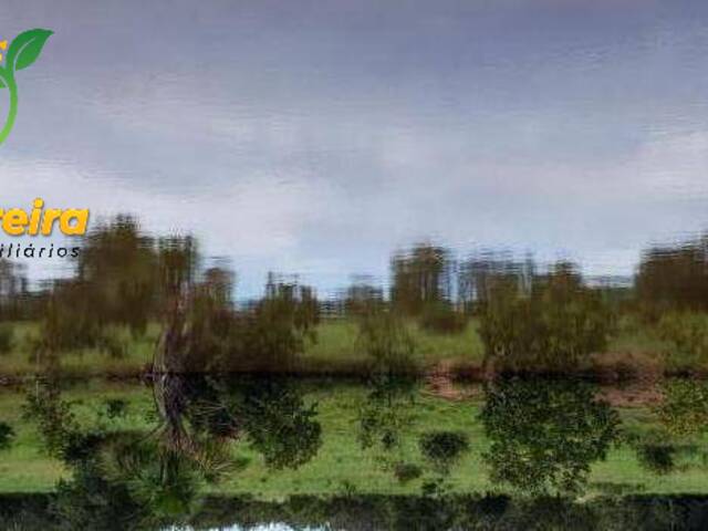 Fazenda para Venda em Talismã - 5