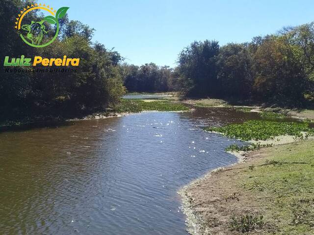 #1229 - Fazenda para Venda em São Valério da Natividade - TO