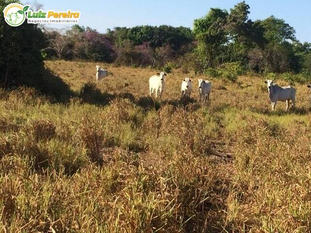 #1331 - Fazenda para Venda em Formoso do Araguaia - TO - 2