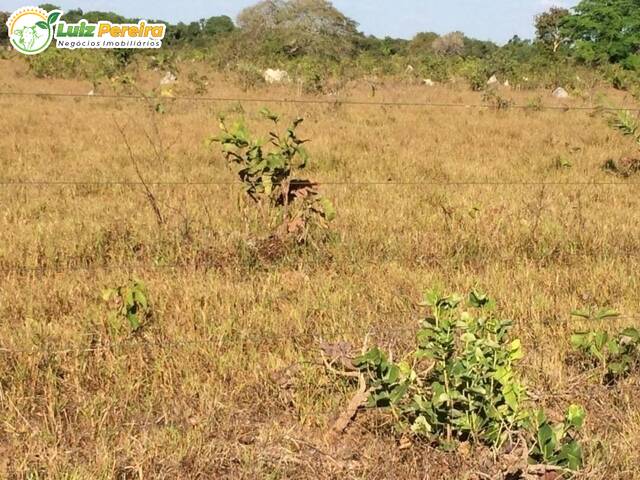 Fazenda para Venda em Formoso do Araguaia - 4
