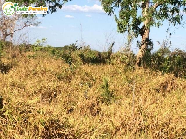 #1331 - Fazenda para Venda em Formoso do Araguaia - TO - 3