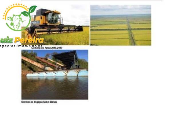 Fazenda para Venda em Lagoa da Confusão - 4