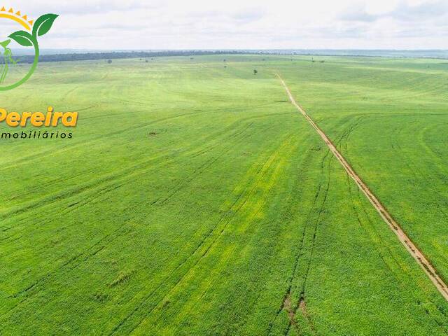 #1345 - Fazenda para Venda em Lagoa da Confusão - TO - 2