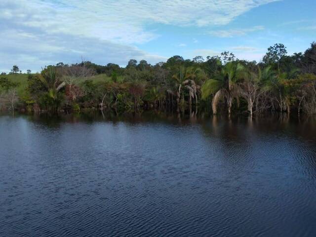 #1345 - Fazenda para Venda em Lagoa da Confusão - TO - 3