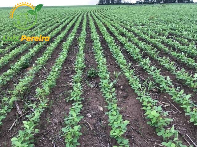Fazenda para Venda em Lagoa da Confusão - 5