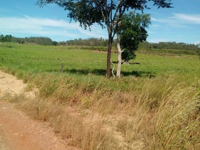 #1364 - Fazenda para Venda em Centenário - TO - 1