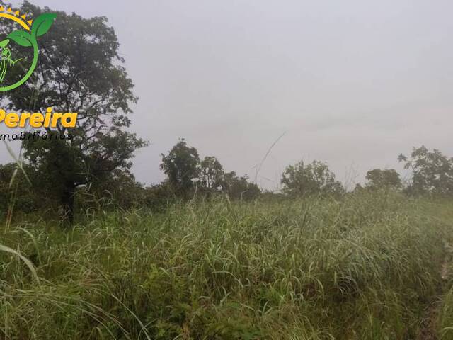 Fazenda para Venda em Riachão - 4