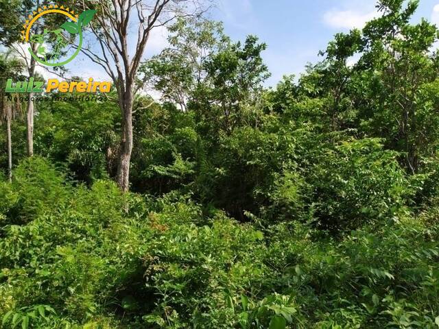 Fazenda para Venda em Riachão - 5