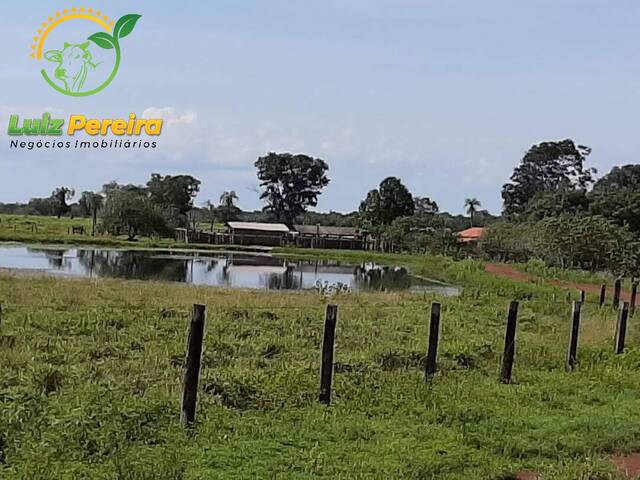 #1418 - Fazenda para Venda em Abreulândia - TO - 1
