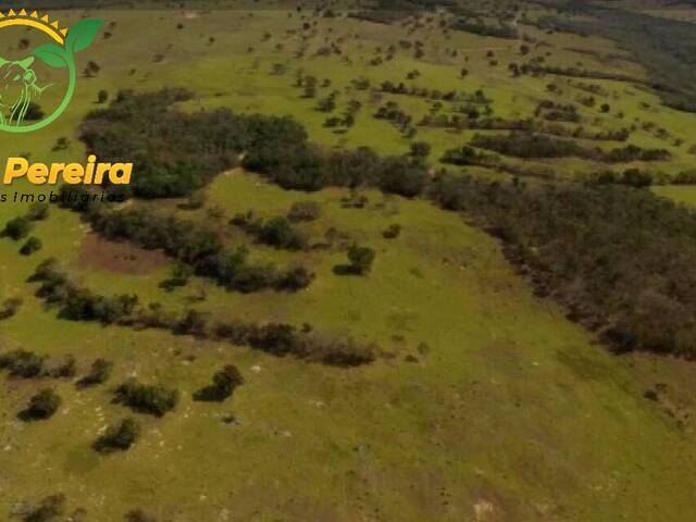 #1425 - Fazenda para Venda em Rio Negro - MS