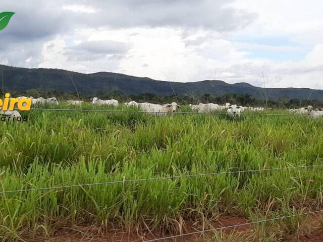 #1476 - Fazenda para Venda em Fátima - TO - 2