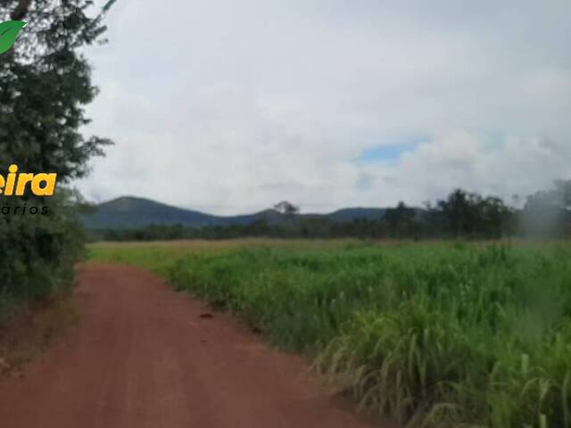 Fazenda para Venda em Fátima - 5