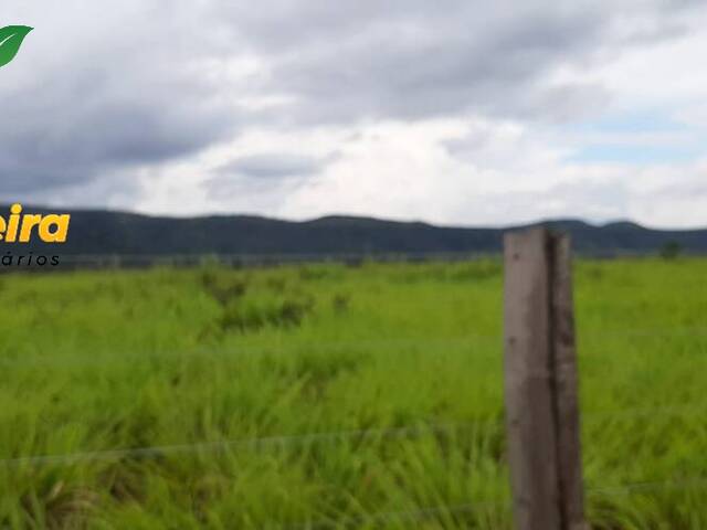 Fazenda para Venda em Fátima - 4