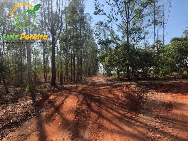 #1485 - Fazenda para Venda em Centenário - TO - 3