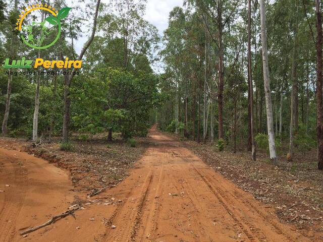 #1485 - Fazenda para Venda em Centenário - TO - 2