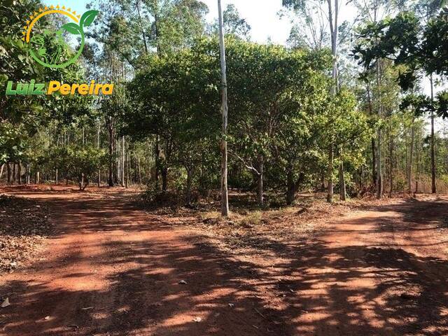 Fazenda para Venda em Centenário - 4