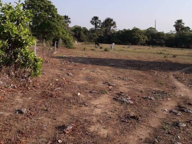 Fazenda para Venda em Centenário - 5