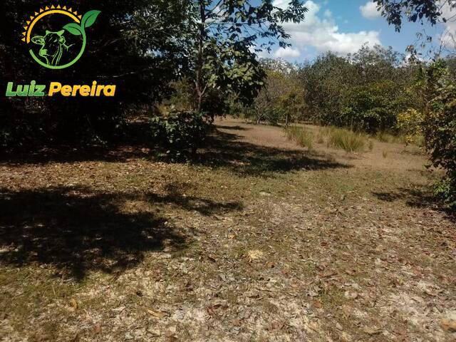 Fazenda para Venda em Centenário - 4
