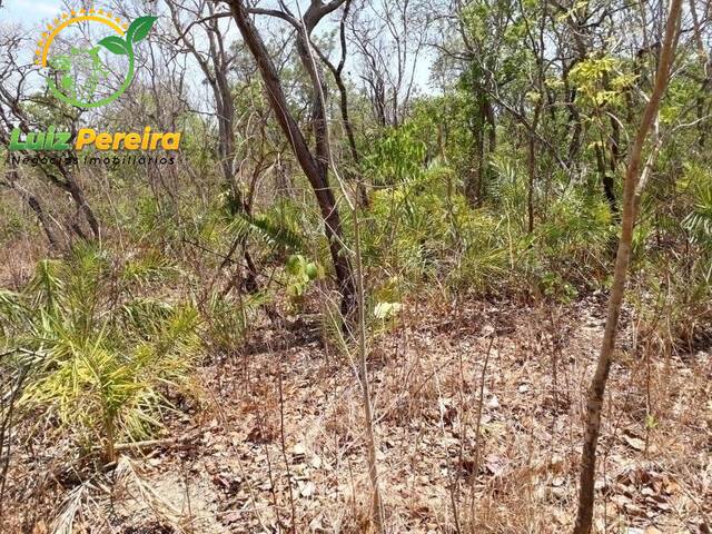 #1500 - Fazenda para Venda em Centenário - TO