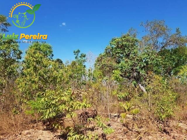Fazenda para Venda em Centenário - 5