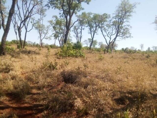 Fazenda para Venda em Centenário - 4