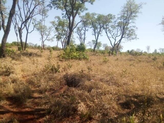 #1500 - Fazenda para Venda em Centenário - TO - 2