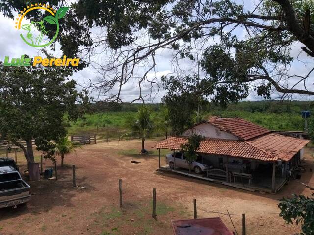 #1520 - Fazenda para Venda em São Valério da Natividade - TO